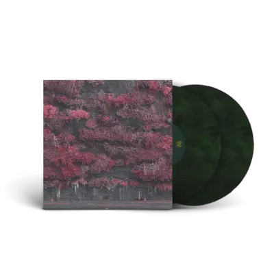 Vinyl 1