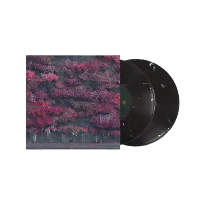 Vinyl 3