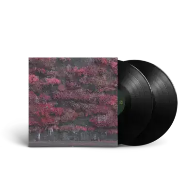 Vinyl 6