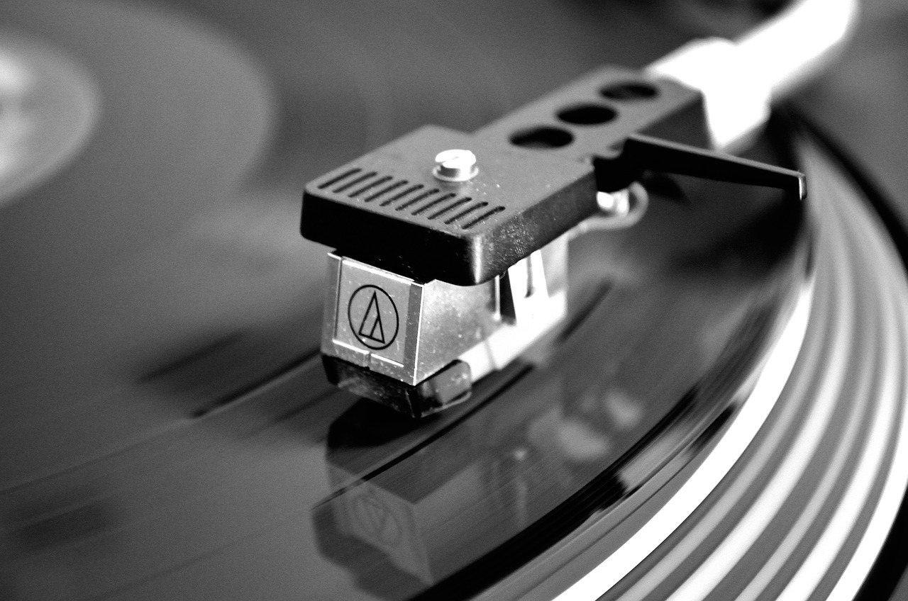 Vinyslepalre