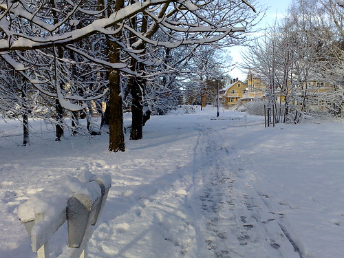 en fin bild på vacker väder